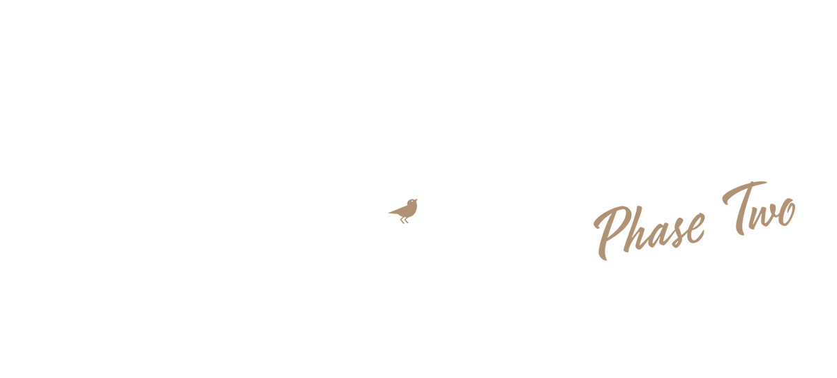 Park & Maven Logo